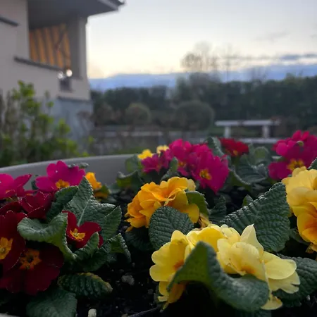 Casa Di Martina Fossano