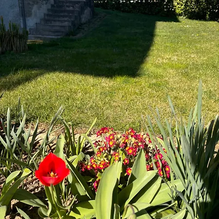 Bed & Breakfast Casa Di Martina Fossano